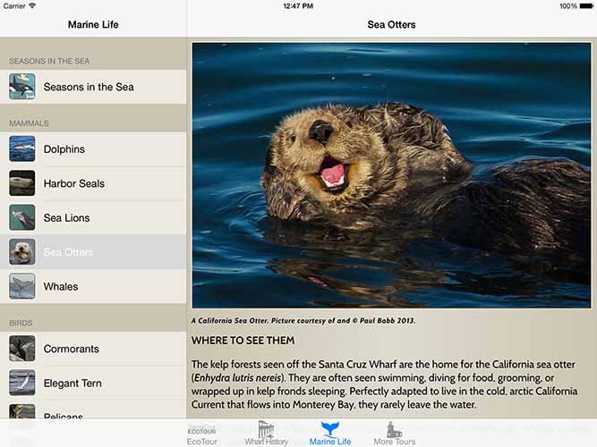 Tablet Screenshot