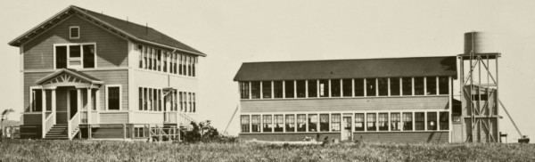 Hopkins Seaside Laboratory, (ca. 1894) Stanford University, Pacific Grove, California. Photograph Courtesy of Stanford University Archives.