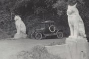 Cats: The Statues not the Town