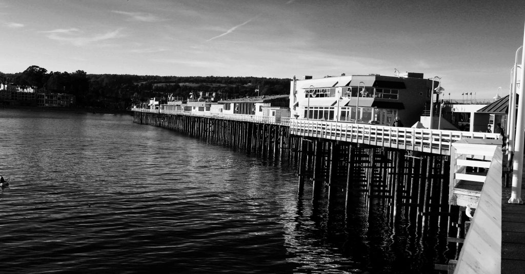 The Santa Cruz Wharf in 2016. Photo: Lauren McEvoy/Mobile Ranger