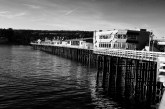 Santa Cruz’s Many Wharves: From Lime and Lumber to Ecotourism