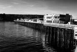 Santa Cruz’s Many Wharves: From Lime and Lumber to Ecotourism