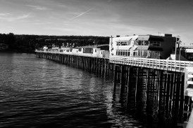 Santa Cruz’s Many Wharves: From Lime and Lumber to Ecotourism