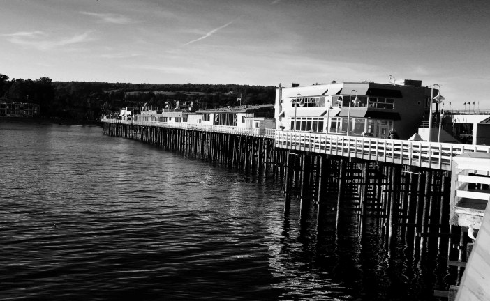 Santa Cruz’s Many Wharves: From Lime and Lumber to Ecotourism