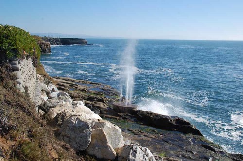 Waves spouting through a vented but plugged shaft: the last remaining vestige of the Armstrong Brothers' Wave Motor.