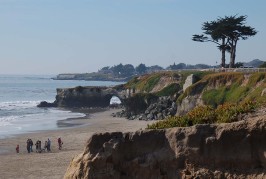 Its Beach: From Shipwrecks to Serious Dog Politics