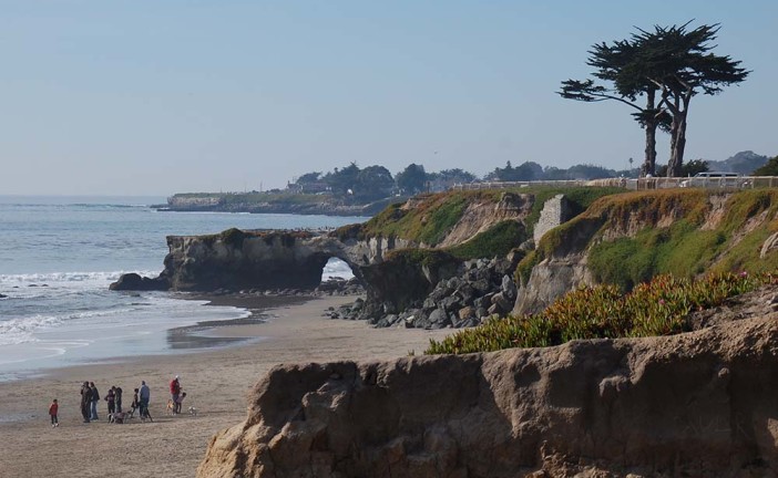 Its Beach: From Shipwrecks to Serious Dog Politics