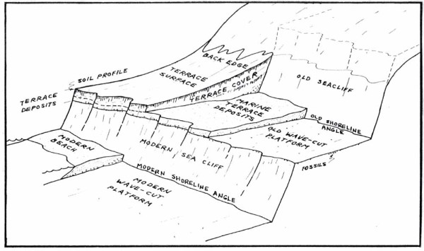 Schematic showing how a modern beach platform evolves into a marine terrace. Figure from a 2001 USGS paper by Gerald Webber and Alan Allwardt (listed at Bottom).