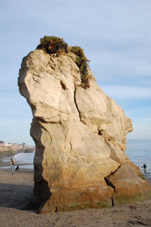 The hallmark rock tower (sea stack) at Mitchell Cove. It’s composed of the Purisima Formation; a Miocene aged sandstone.