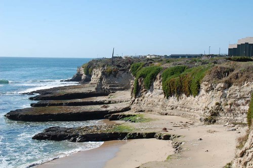 Santa Cruz Mudstone in front of Long Marine lab. A great example of "pocket beaches". Photo: Mobile Ranger
