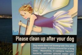 Drat! There is No Poop Fairy!