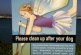 Drat! There is No Poop Fairy!