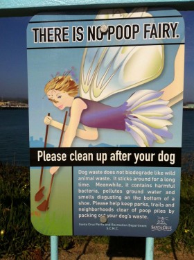 Drat! There is No Poop Fairy!