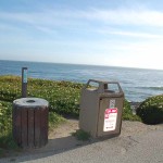 Along West Cliff Drive near John Street, very carefully walk down to the right of the garbage cans where there is a steep path through the ice plant and you will see the above profile.