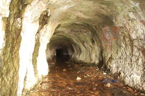 Liddel Creek draining through the man-made tunnel (drilled in 1907/1908) in the Santa Cruz Mudstone