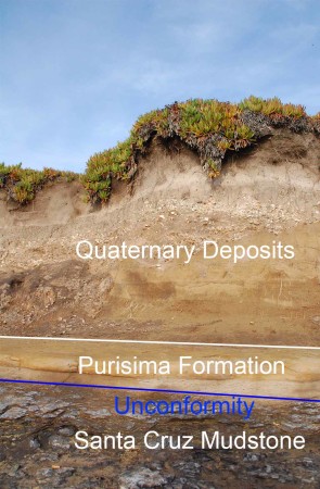 This cliff face can be found along West Cliff Drive at John Street. The Quaternary deposits show many different layers which vary greatly in color and grain size; from fine sands to coarse channel deposits.