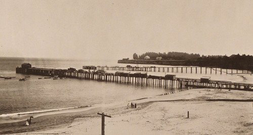 Cowell Wharf (background) and the Railroad Wharf (foreground) circa 1900. The current Municipal Wharf was built about 100 yards west of the Railroad Wharf. Photo courtesy of Frank Perry and the Museum of Natural History.
