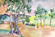 Beyond Lumber: The Eucalyptus-Malaria Connection