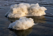 Sea Foam: It’s What’s for Dessert!