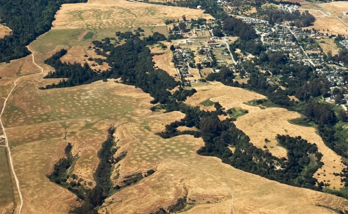 Mysterious Mima Mounds: The Case for Gophers