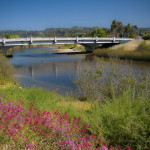 Recreation on the San Lorenzo River: Yesterday, Today and a Potential Tomorrow