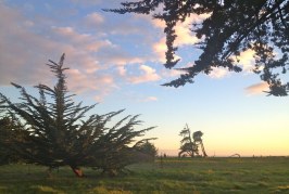 Lighthouse Field: Why it’s not a Shopping Mall