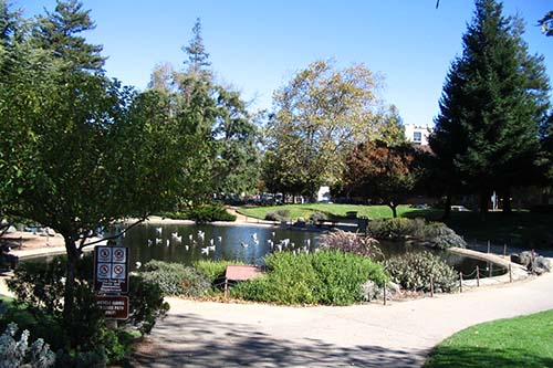 The duck pond at San Lorenzo Park. Photo courtesy Local Wiki Santa Cruz.