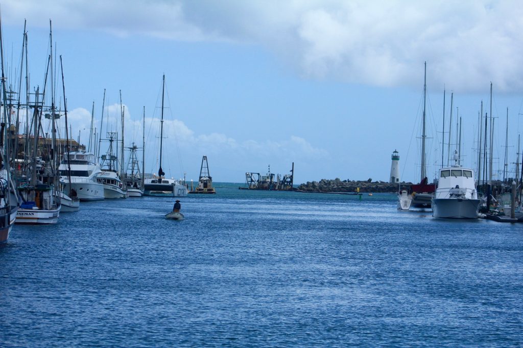 Looking south from the Santa Cruz Harbor. Photo: Lauren McEvoy/Mobile Ranger