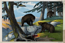 “Mountain Charley” McKiernan: Fighting Grizzlies in the Santa Cruz Mountains