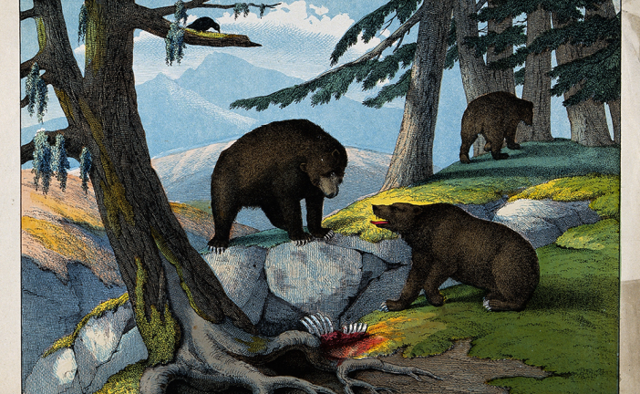 “Mountain Charley” McKiernan: Fighting Grizzlies in the Santa Cruz Mountains