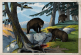 “Mountain Charley” McKiernan: Fighting Grizzlies in the Santa Cruz Mountains