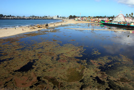 Where the San Lorenzo Meets the Ocean: Managing the Lagoon.