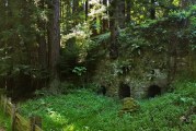 Pogonip: Lime Kilns, Secret Notes, and Questionable Koi