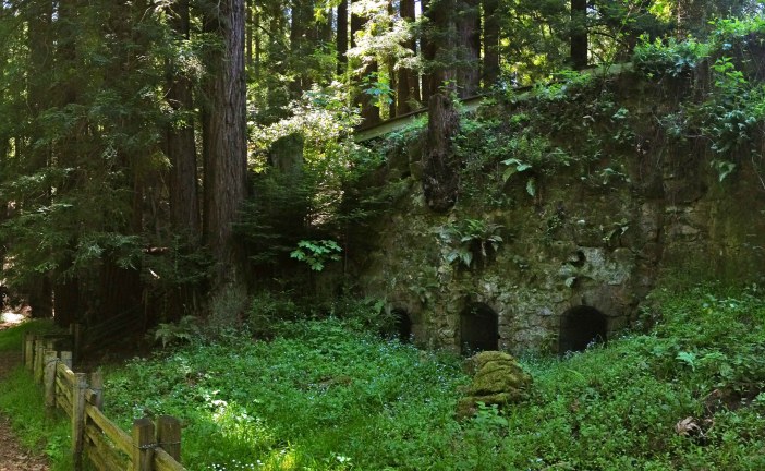 Pogonip: Lime Kilns, Secret Notes, and Questionable Koi