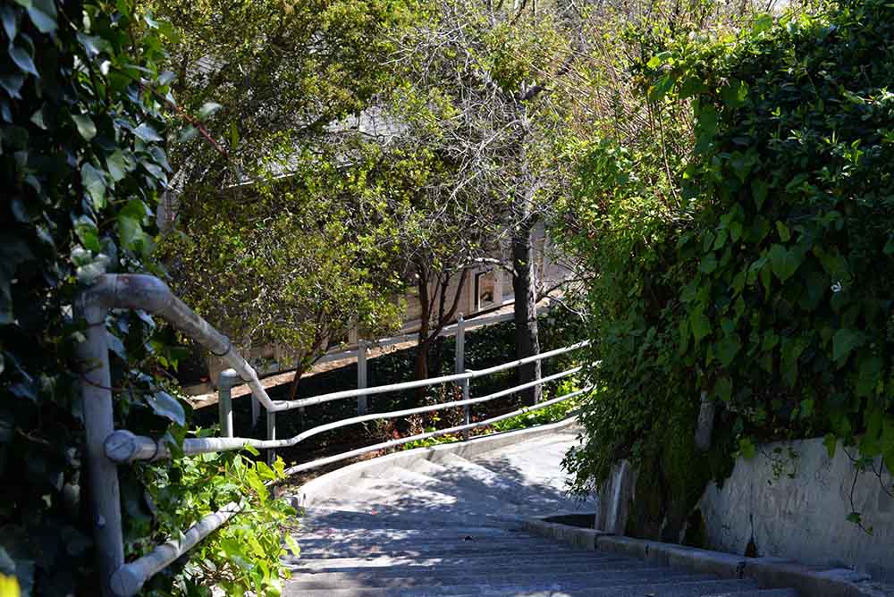 At the bottom of the stairs, turn right, and walk up the Walnut Street stairs to a landing.
