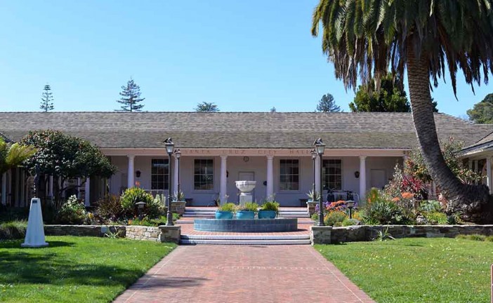 The Accidental Date Palm at Santa Cruz City Hall