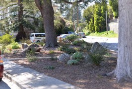 Rincon Park was More Than a Median Strip