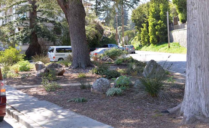 Rincon Park was More Than a Median Strip
