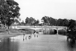 San Lorenzo River: Whats in a Watershed: Part II