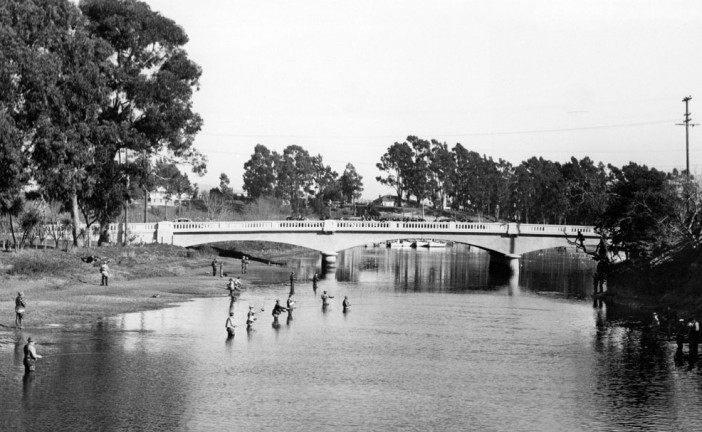 San Lorenzo River: Whats in a Watershed: Part II