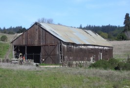 Rebirth of the Hay Barn