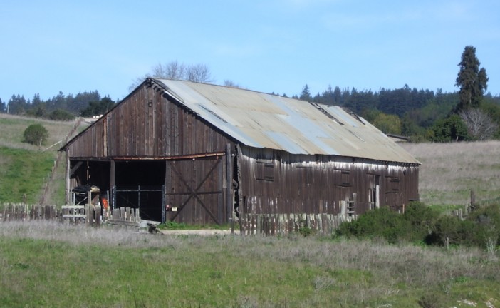 Rebirth of the Hay Barn