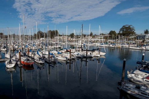 The Santa Cruz Harbor.