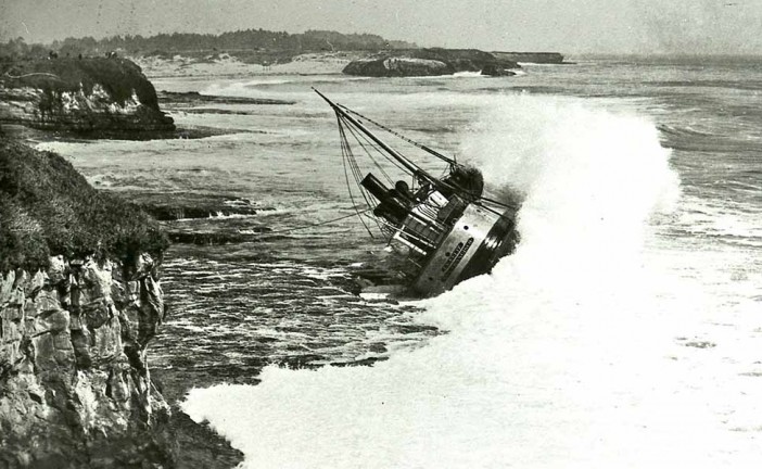 Lesser-Known Stories of the Long Marine Lab Neighborhood