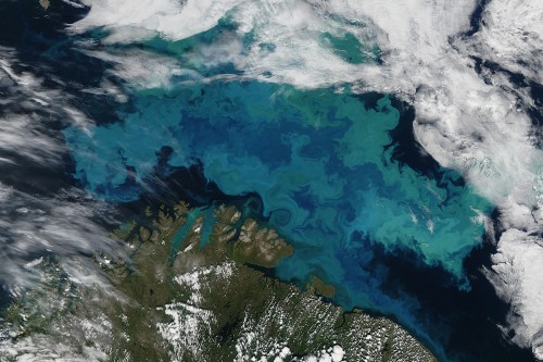 Photo by Jeff Schmaltz - NASA Earth Observatory. Photo cropped from original.