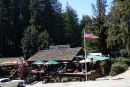Highway 35: Alice in Skylonda Land