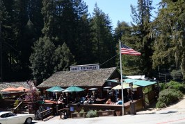 Highway 35: Alice in Skylonda Land