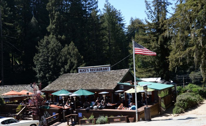 Highway 35: Alice in Skylonda Land
