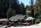 Highway 35: Alice in Skylonda Land