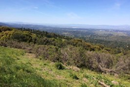 Vista Point: The Heavens Above San Francisco Bay